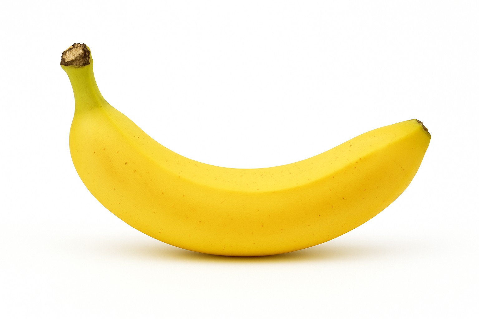 SVTEEHB DEFINITIONS ESSENTIELLES - PARTIE 3. Reproduction humaine & sexualité (51–70)