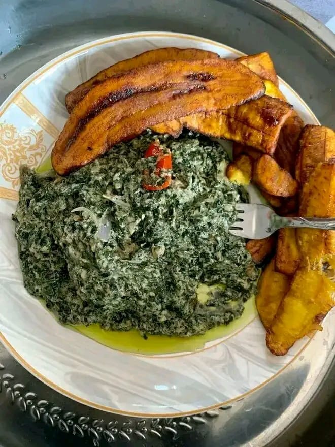 MAGABY REVISION en PHILOSOPHIE au BAC C, D, E et TI – EPREUVE 2019